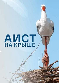 Аист на крыше
