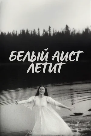 Белый аист летит