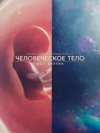 Человеческое тело: мир внутри
