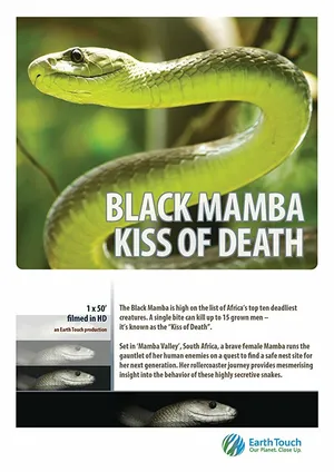 Черная мамба: поцелуй смерти