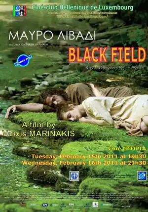 Чёрное поле