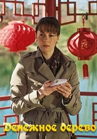 Денежное дерево