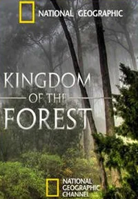 Лесное царство