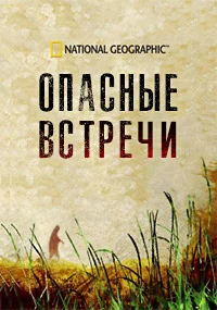 Опасные встречи