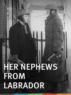 Племянники из Лабрадора