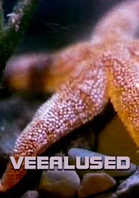 Подводные друзья