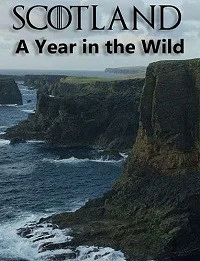 Шотландия: Дикий год