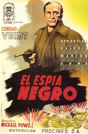 Шпион в черном