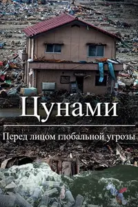 Цунами: Перед лицом глобальной угрозы
