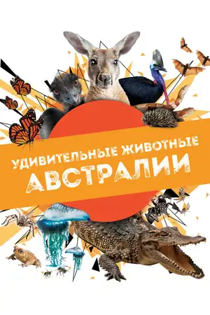 Удивительные животные Австралии