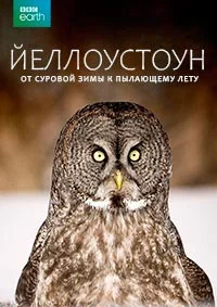 Йеллоустоун: От суровой зимы до пылающего лета