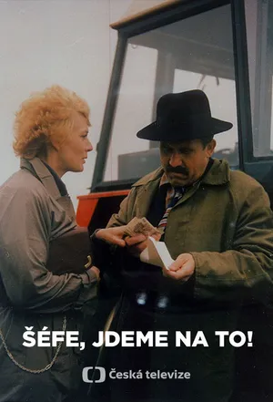 За дело, шеф!