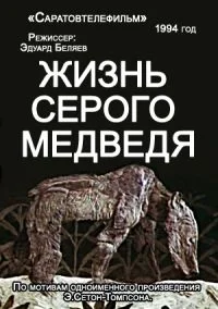 Жизнь серого медведя